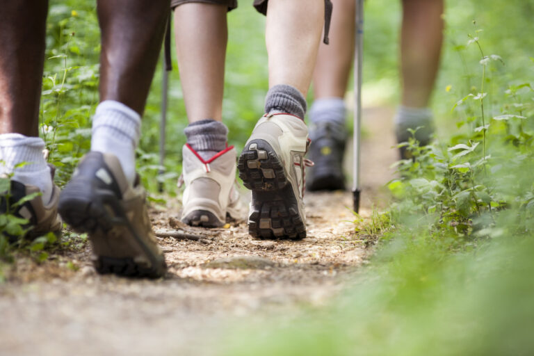 Randonneurs en file sur un sentier forestier, vus au ras des chaussures de marche