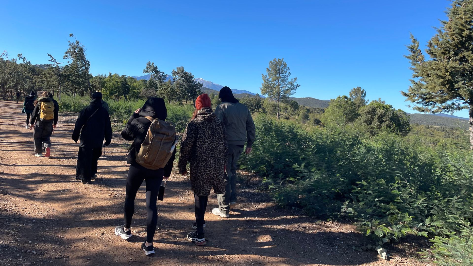 Nature préservée en Pyrénées-Orientales pendant une randonnée
