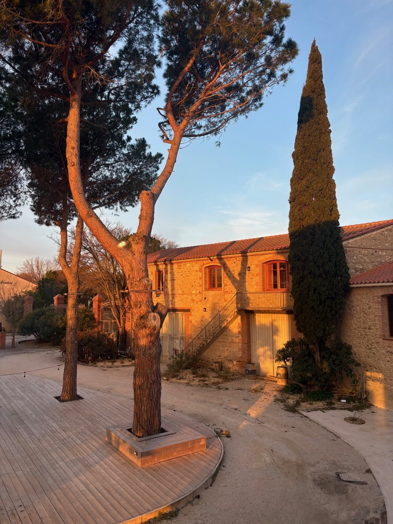 Cour du Château Montana à Banyuls-dels-Aspres sous la lumière dorée du soir, lieu d'accueil des séjours jeûne et randonnée