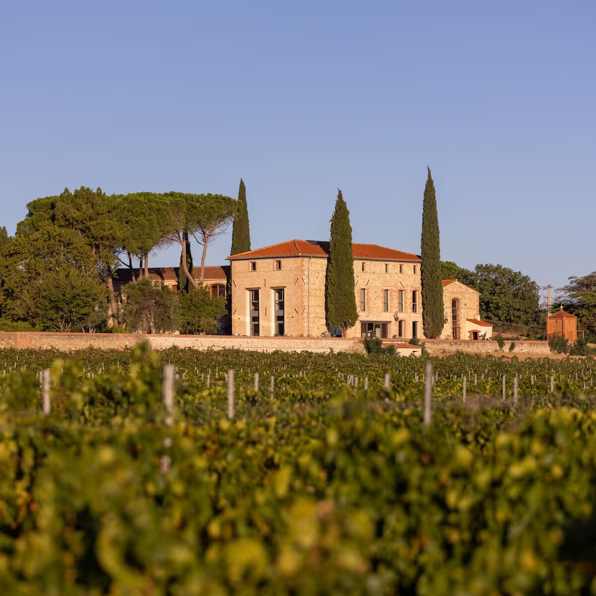 Une bâtisse de pierre au bout des rangs de vigne, cyprès et collines alentour