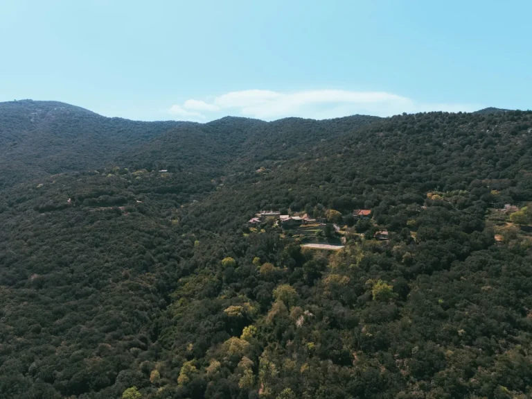 Panorama de collines boisées s'étendant jusqu'à l'horizon