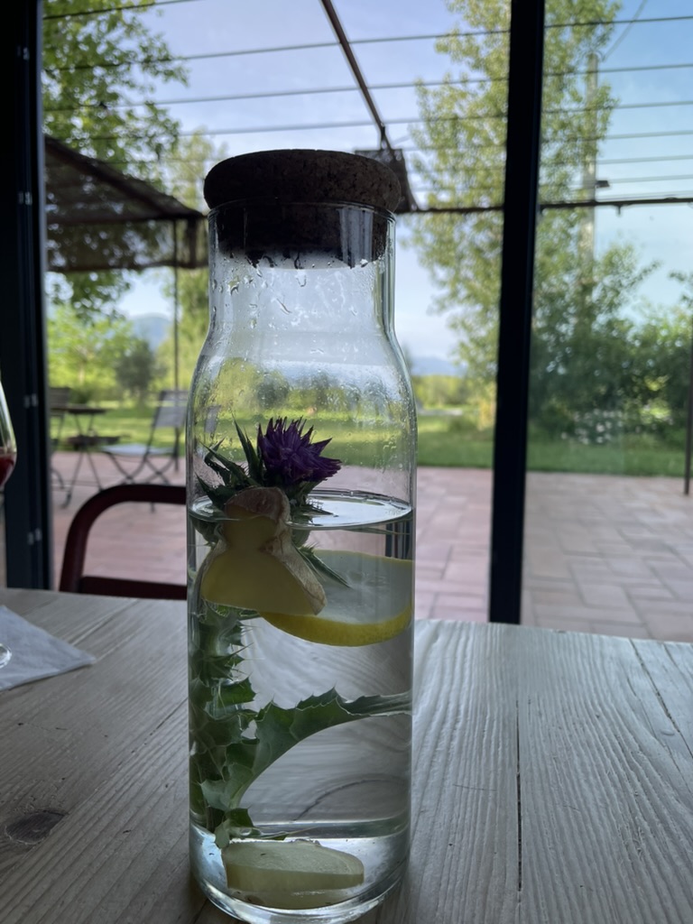 Carafe en verre remplie d'eau infusée au chardon et au citron, posée sur une table en extérieur