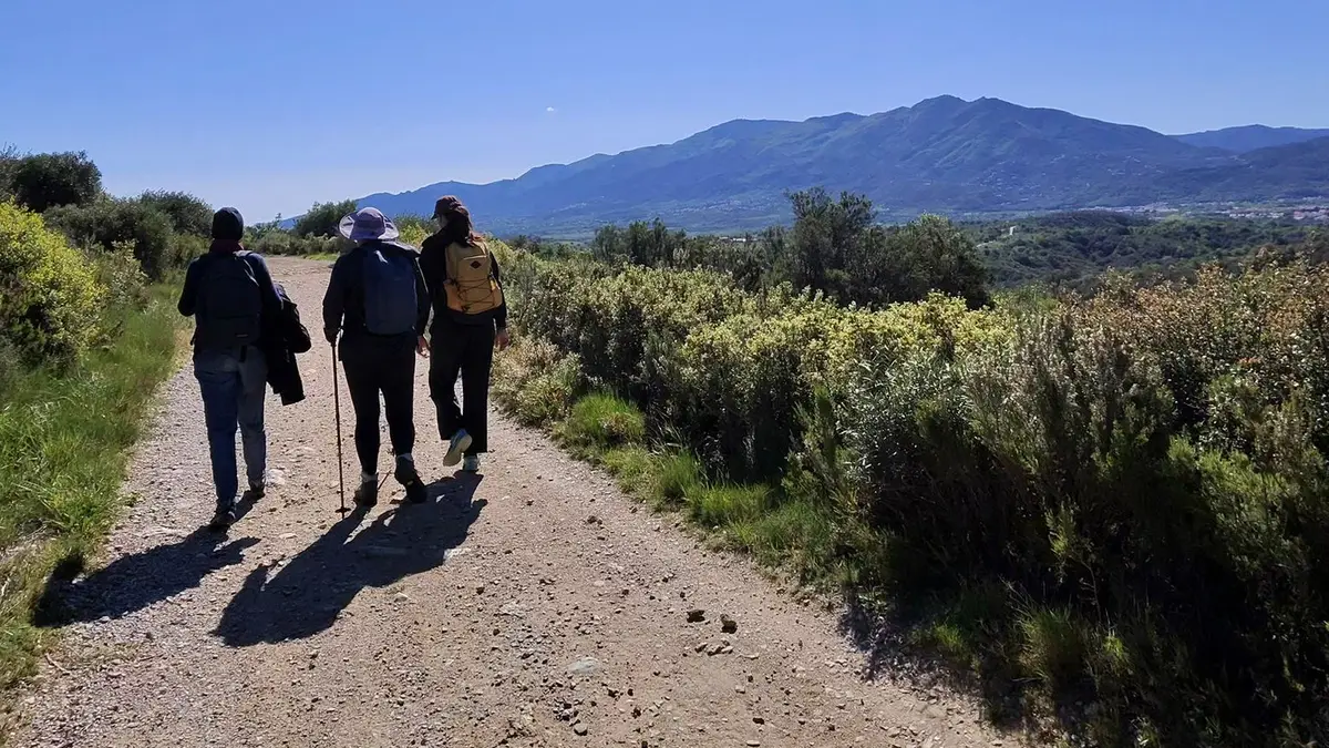 Trois randonneurs marchent sur une piste caillouteuse bordée de garrigue, face à une ligne de montagnes.