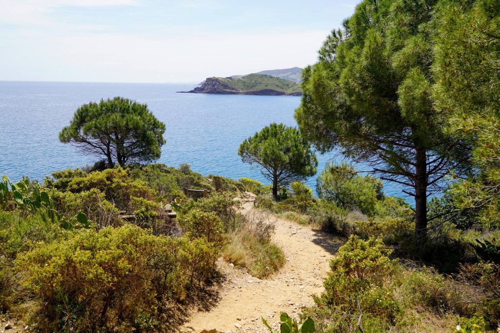 Sentier de terre entre maquis et pins parasols, avec la mer et une pointe rocheuse au loin
